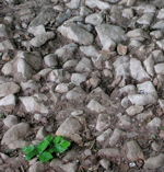 R�merstra�e Blankenheimerdorf