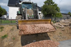 1597_. . . mit vielen kleinen "�lewener klein Steincher".