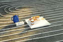 Stillleben: "Das vergessene Fr�hst�ck"