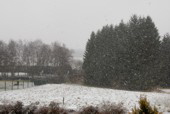 Nach vielen Tagen bitterer trockener K�lte, am Morgen Schneeschauer die sich �ber Tag in Regen- und Schneeschauern abwechselten. Um 0 Grad