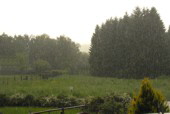 2009.05.25 um 17.00 Uhr. Nach einem hei�en Tag gegen Abend Gewitter mit viel Regen und Hagel