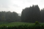 Nieselregen