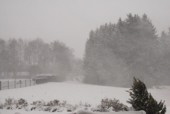 Mit Sturm und Schnee im Gep�ck kam der Winter mit brachialer Gewalt zur�ck. 20 cm Neuschnee in der Nacht.