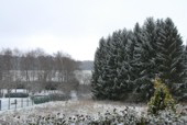 Schnee wie_Staubzucker f�llt vom Himmel. Minus 4,7 Grad am Tag.