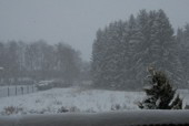 Nachmittags heftiger Schneesturm. Um Minus 0 Grad.
