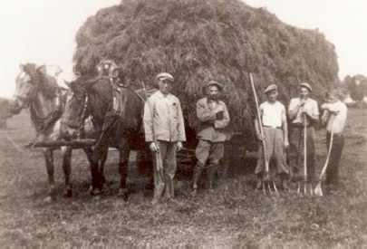 Heuernte 1936, exakt geladener Heuwagen (Archiv Hejo Mies)