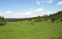 Blick �ber den Simonsseifen in Richtung  Lomberg.