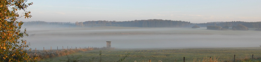 Nebel �ber Gerhardsrot