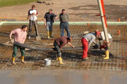 . . . hoppe hoppe Reiter . . .