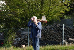 Bitte ein Bier . . .