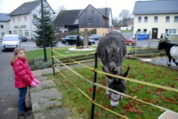 3.2010.11.21 Foto: Hejo Mies