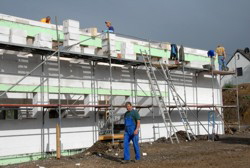 Flei�ig wie die Ameisen . . .