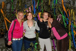 Ist das nicht sch�n . . .