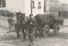 Eine Fuhre D�nger f�rs Kartoffelfeld. Archivbild : J. Vossen  