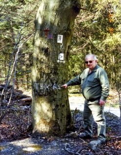 Mai 2007, am "Texasbaum," Wer kennt den Baum ?  (Foto Monika Erfling) 