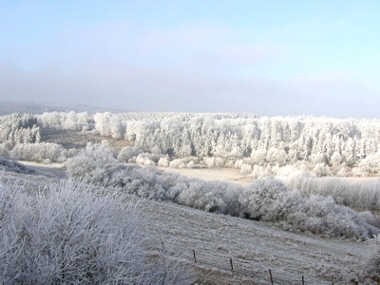 Raureif �ber Lomberg  � Hejo Mies