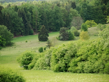 Seidenbachtal  � Hejo Mies