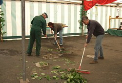 � Susanne Str�hl